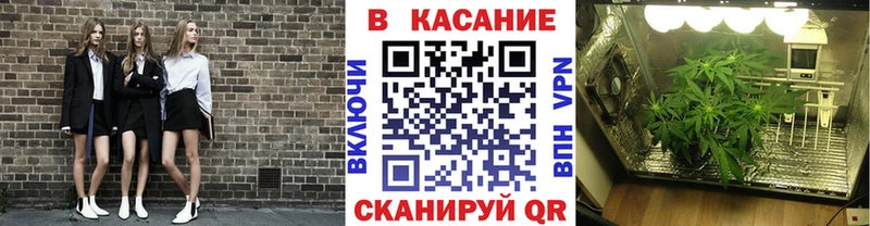 Купить наркотик Кумертау Псилоцибиновые грибы  Марихуана  Альфа ПВП  ГАШИШ  Меф  COCAIN 