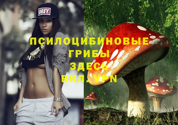 мет Арсеньев