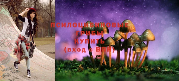 ALPHA-PVP Аркадак