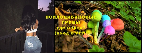 мет Арсеньев