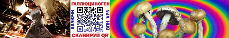 Галлюциногенные грибы GOLDEN TEACHER  Кумертау 
